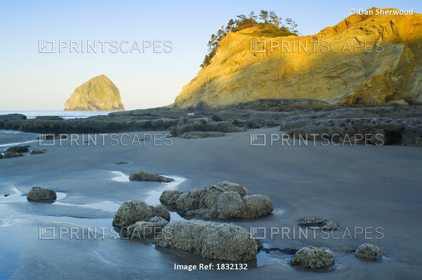 Rocks On Shore, Cape Kiwanda, Oregon, United States Of America