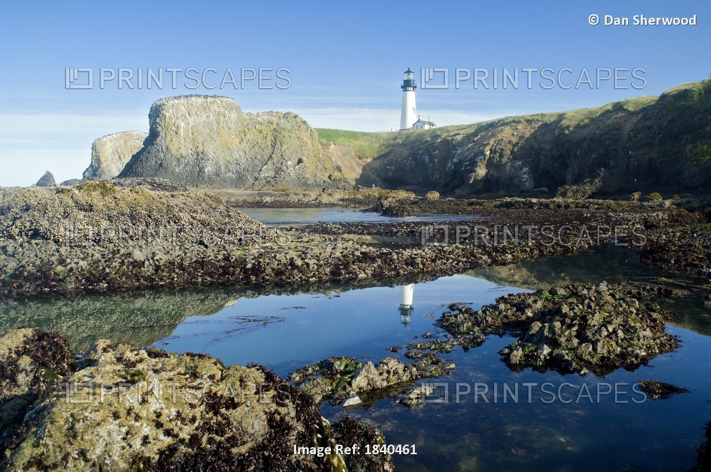 Low Tide At Yaquina Head Lighthouse; Yaquina Head Outstanding Natural Area, ...