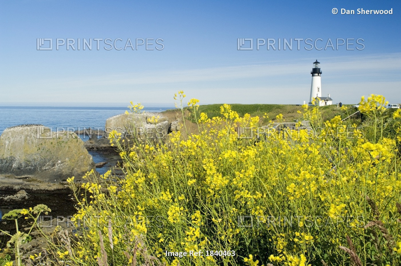 Yaquina Head Lighthouse; Yaquina Head Outstanding Natural Area, Newport, ...