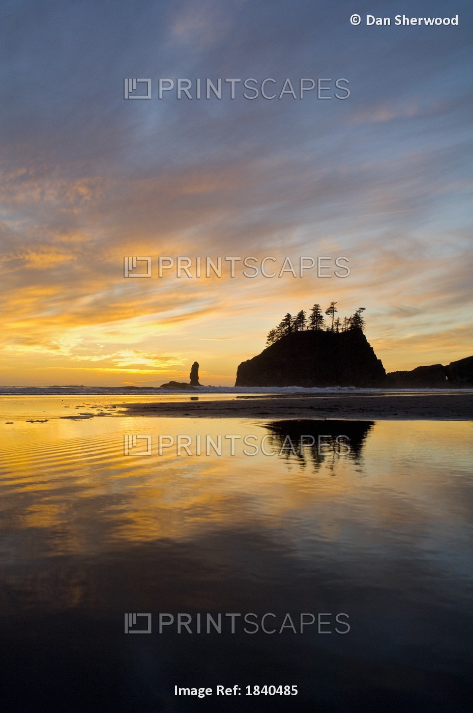 Reflected Sunset In Tidepool At Second Beach; Olympic National Park, Washington ...