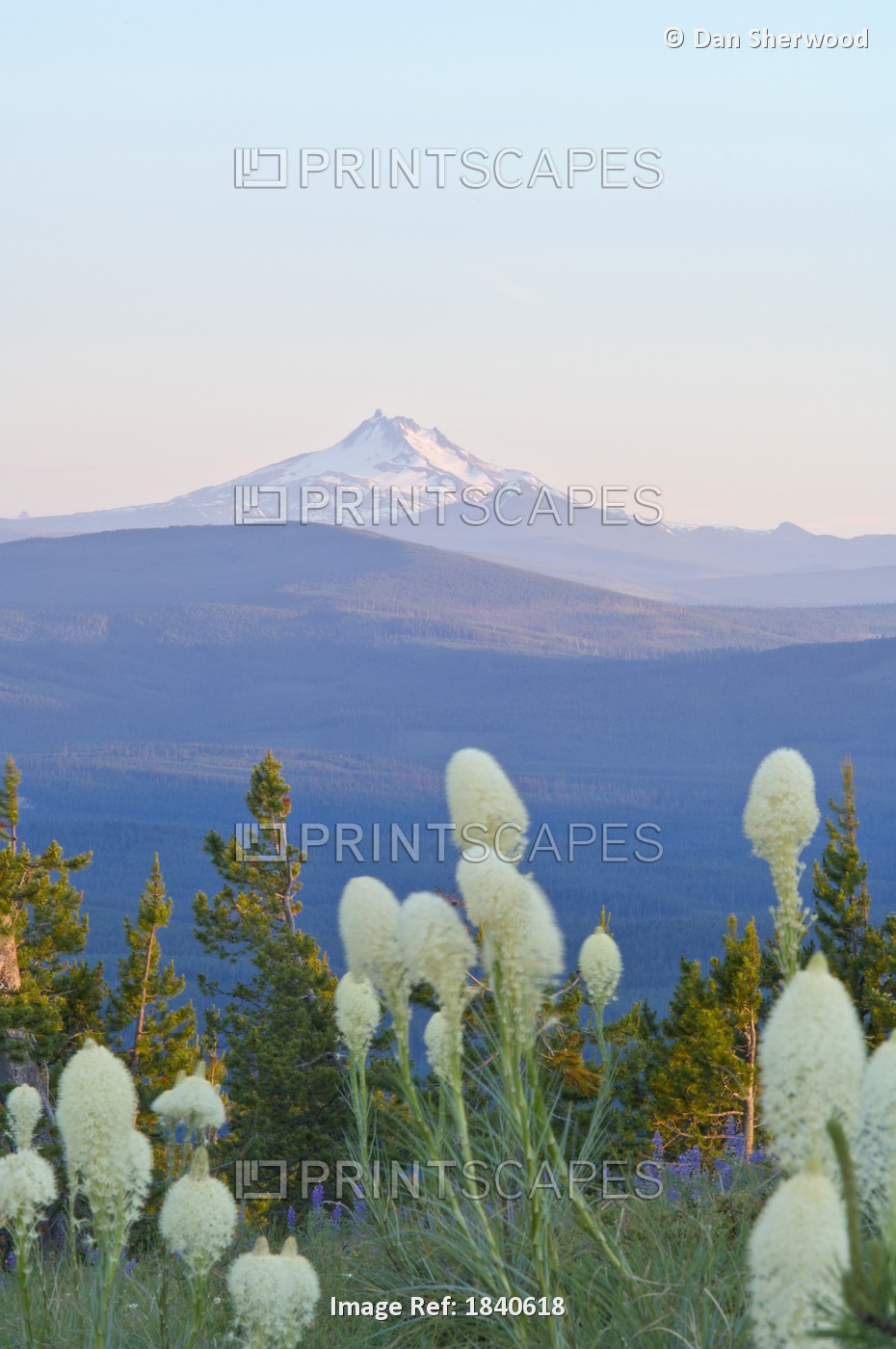 Mount Jefferson And Beargrass, Mount Hood National Forest, Oregon, Usa