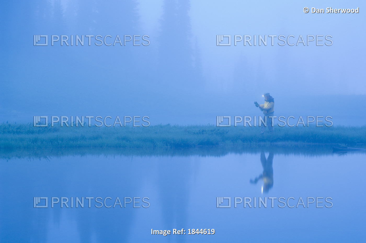 Tipso Lake, Mount Rainier National Park, Washington State, Usa; Hiker Reading A ...