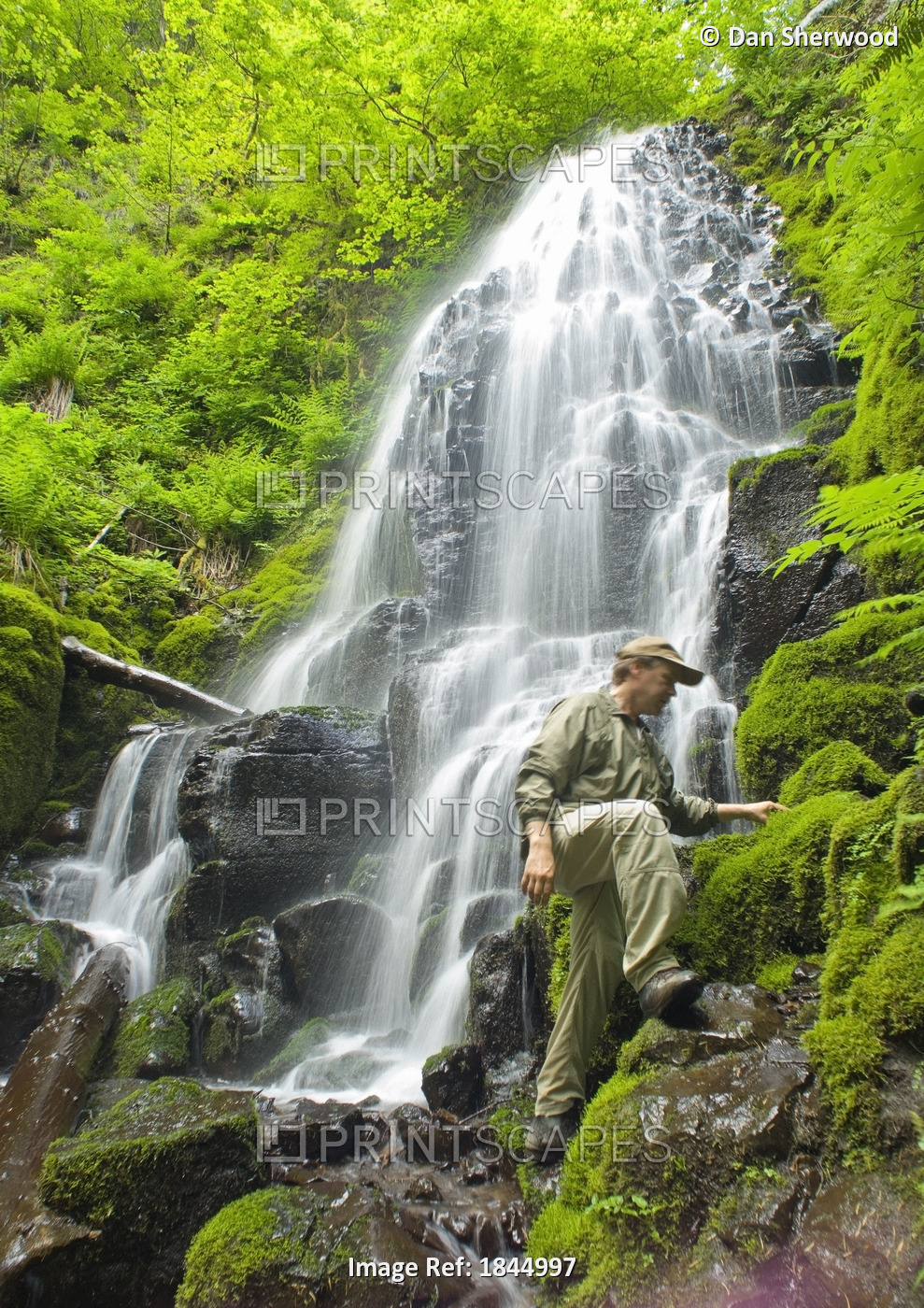 A Hiker At Fairy Falls, Oregon, United States Of America