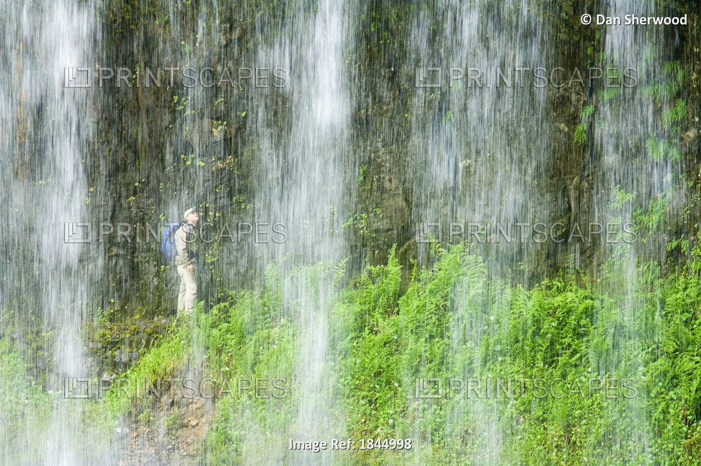 Hiker At Middle North Falls, Silver Falls State Park, Oregon, United States Of ...