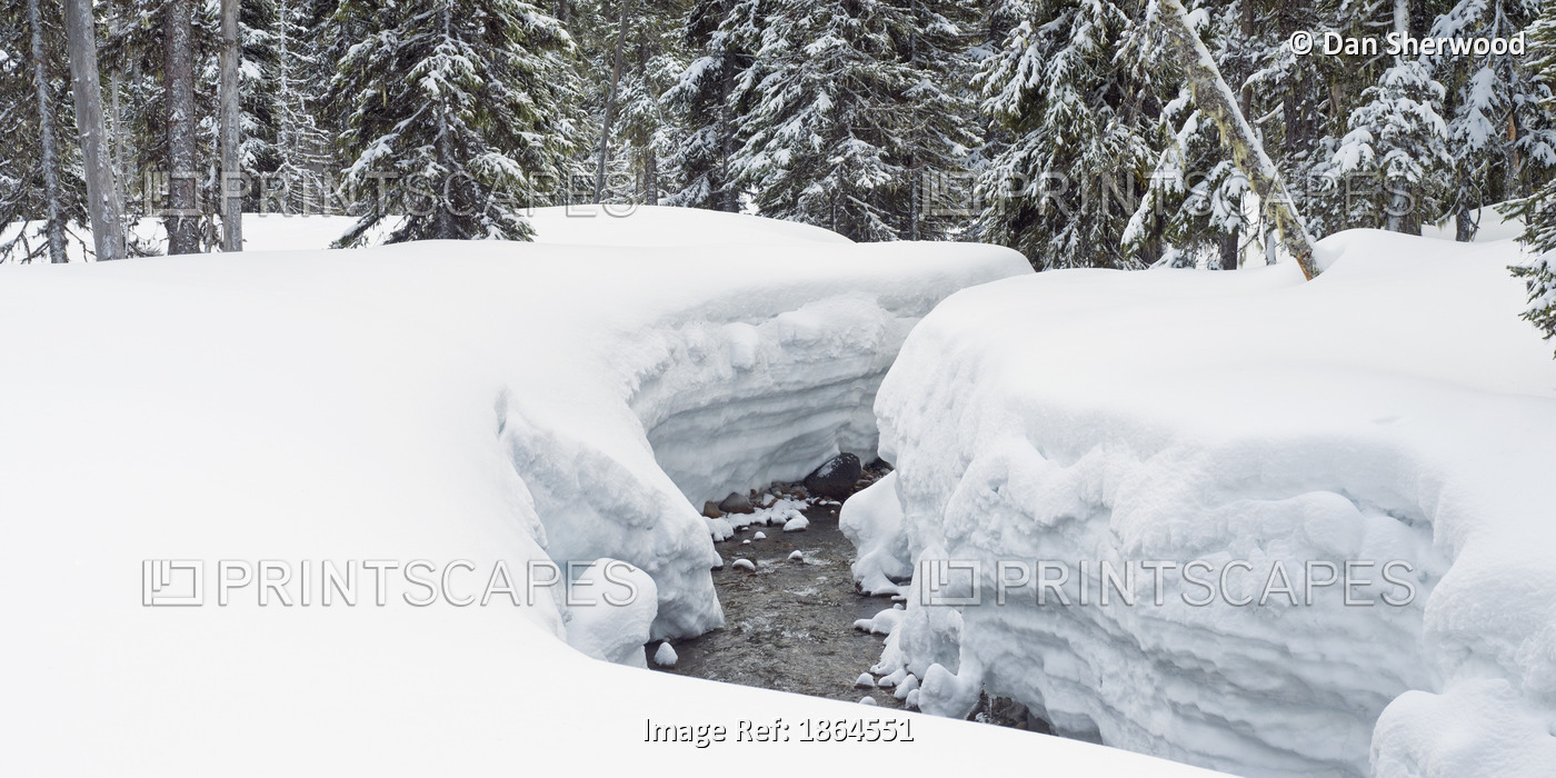 Mountain Creek In Deep Snow On Mount Hood, Oregon, United States Of America