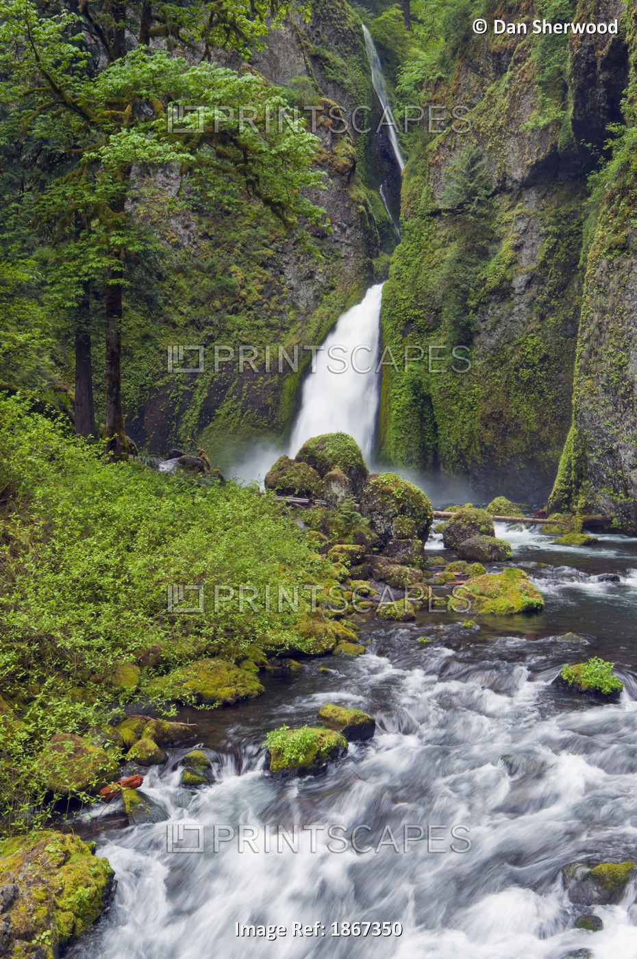 Wahclella Falls And Tanner Creek, Columbia River Gorge, Oregon, Usa