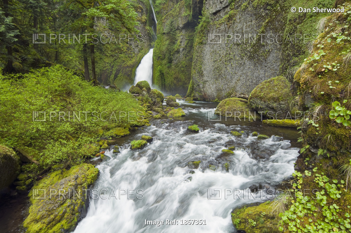Wahclella Falls And Creek, Columbia River Gorge, Oregon, United States Of ...