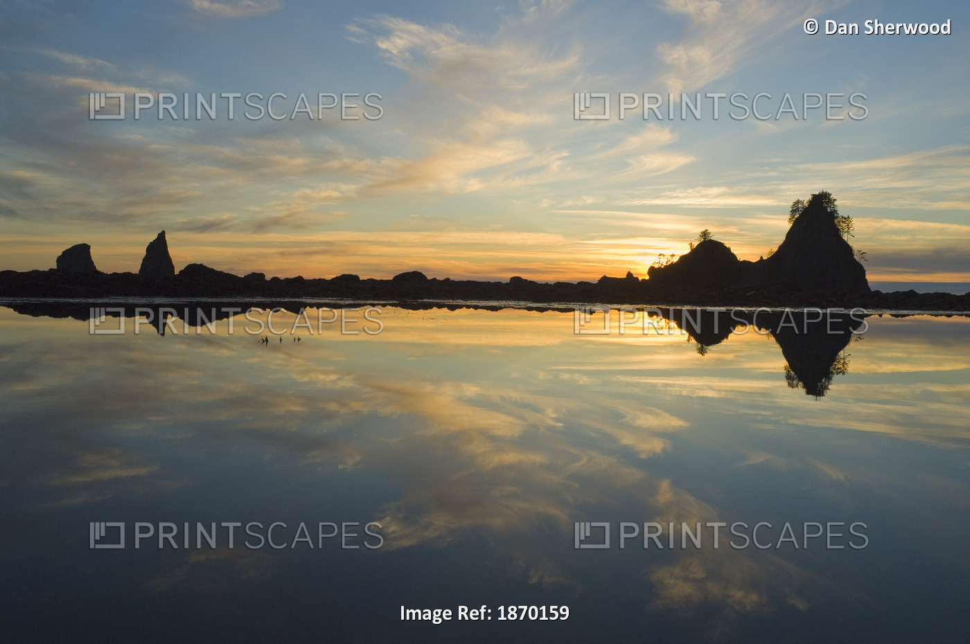 Olympic National Park, Washington, United States Of America; Reflection Of Sea ...