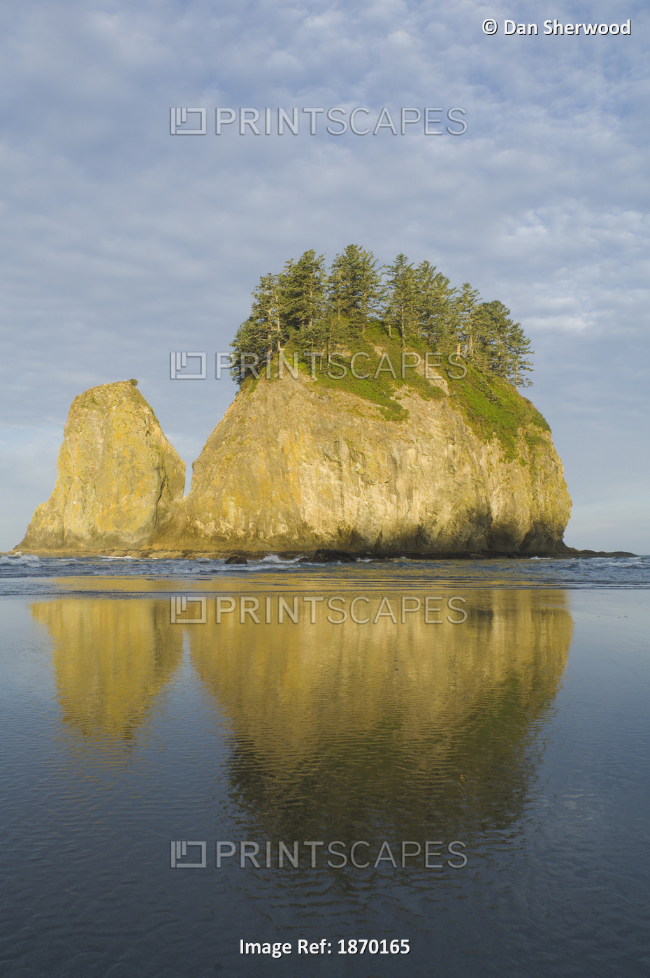 Olympic National Park, Washington, United States Of America; The View From ...