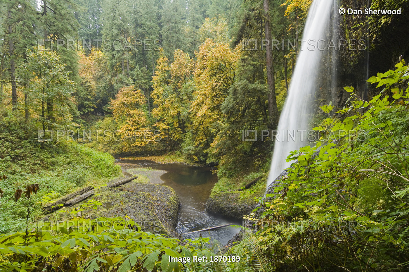 Oregon, United States Of America; Middle North Falls In The Autumn In Silver ...