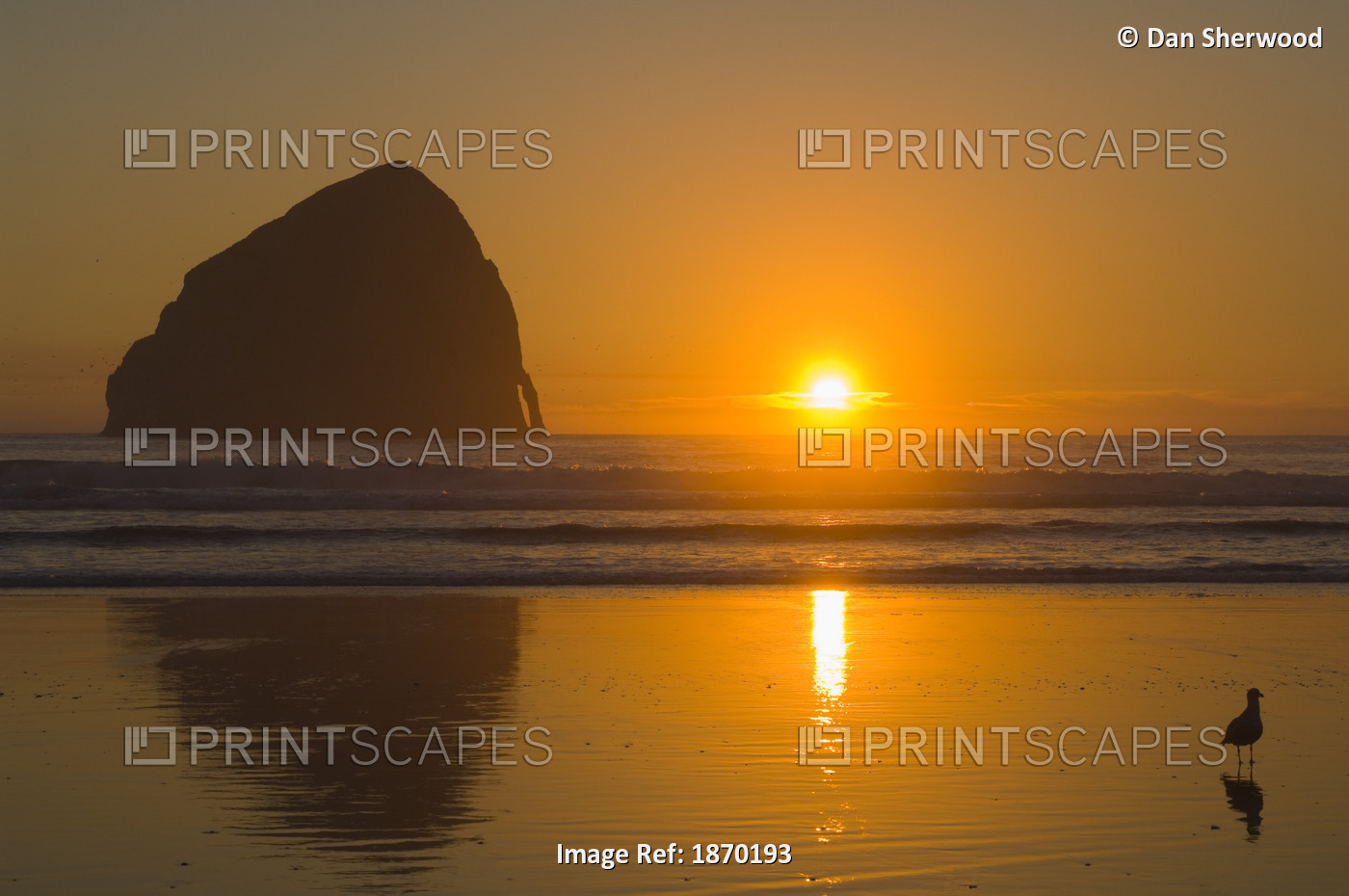 Oregon, United States Of America; Cape Kiwanda And Haystack Rock At Sunset