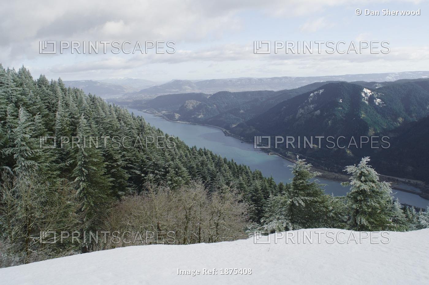 Washington, United States Of America; View Of Columbia River Gorge From Dog ...