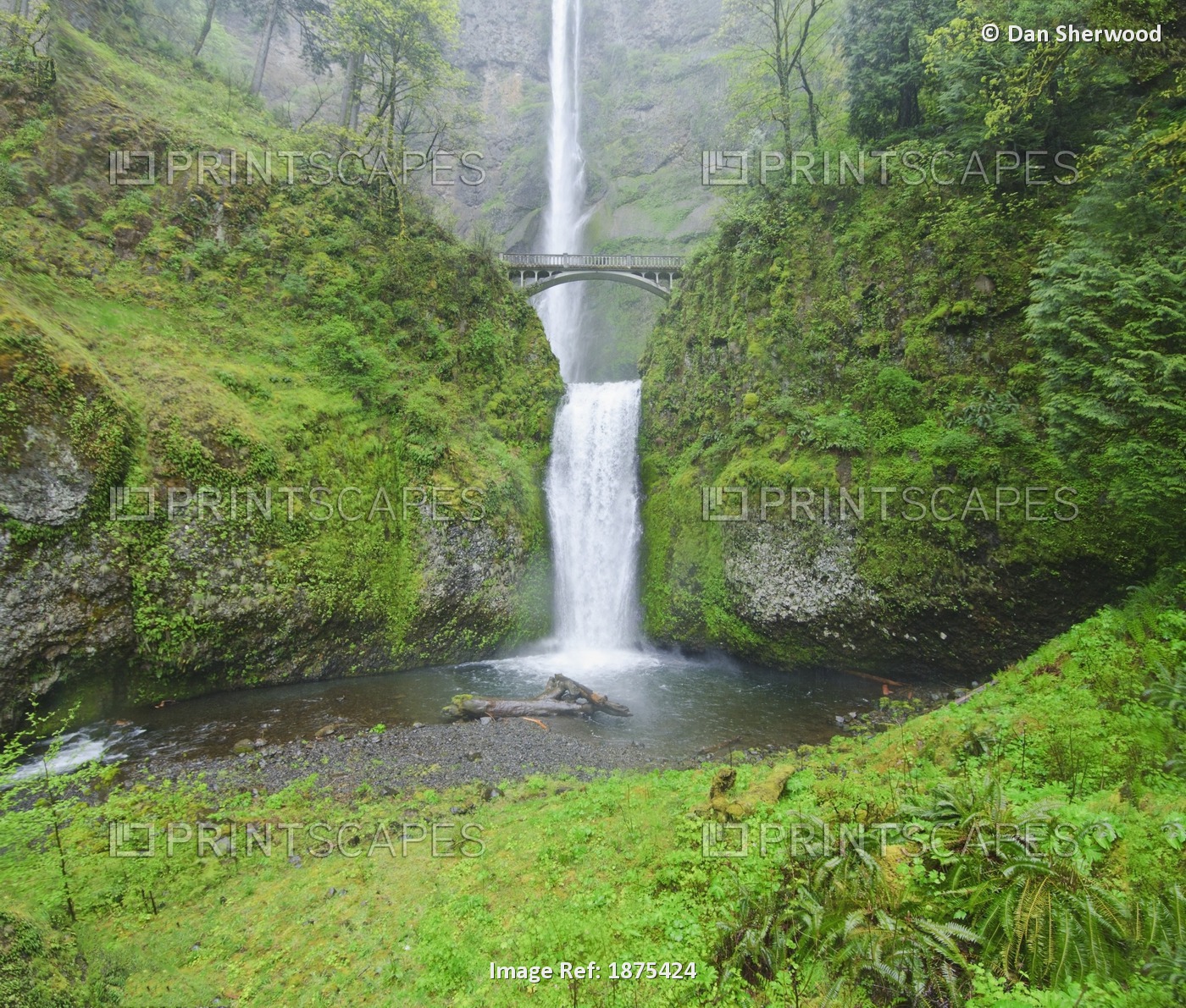 Oregon, United States Of America; Multnomah Falls In Spring In Columbia River ...