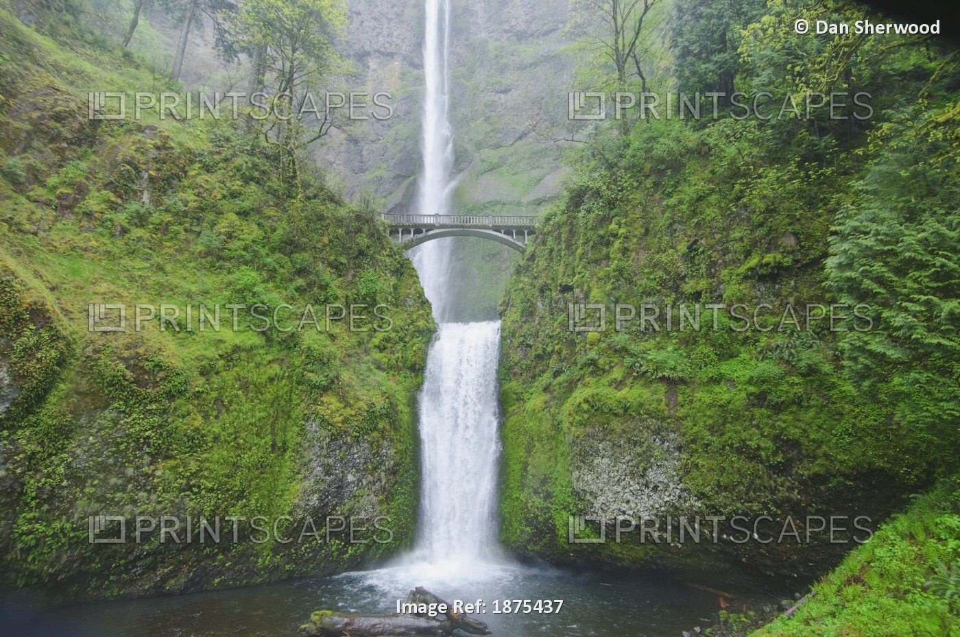 Oregon, United States Of America; Multnomah Falls In Columbia River Gorge