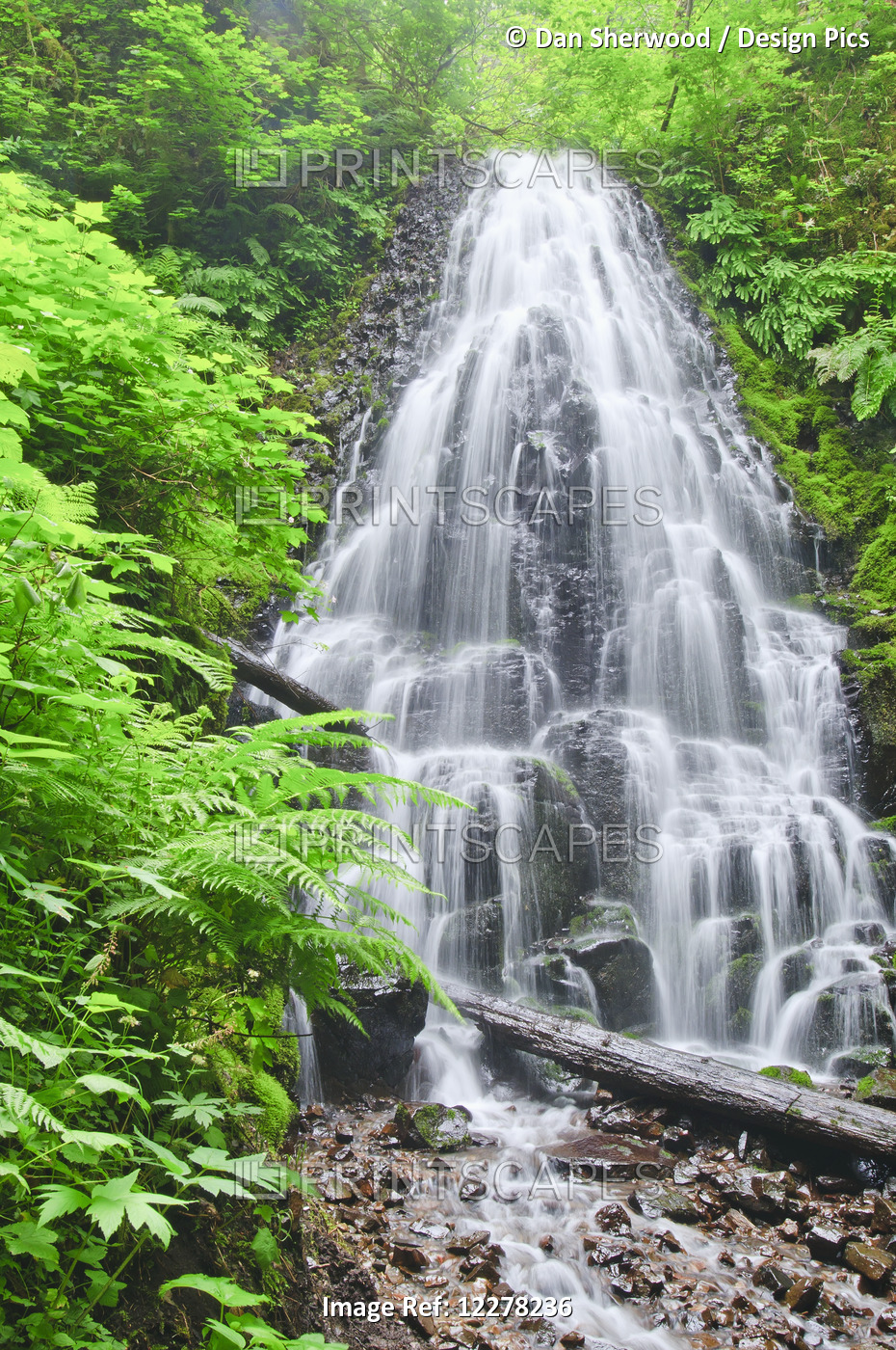 Fairy Falls In The Columbia River Gorge; Oregon, United States Of America