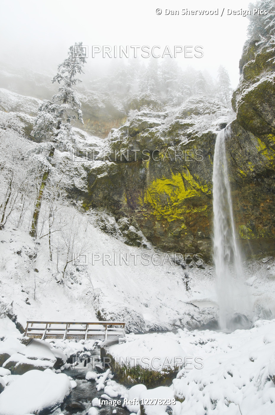 Elowah Falls And Fresh Snow In Winter, Columbia River Gorge; Oregon, United ...