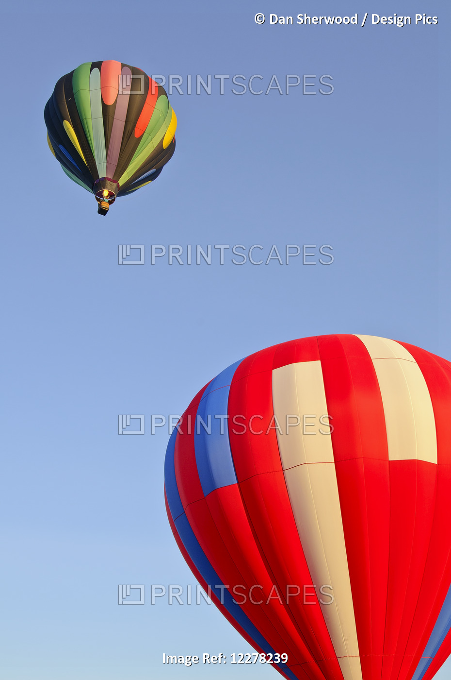 Hot Air Balloons In The Blue Sky; Woodburn, Oregon, United States Of America