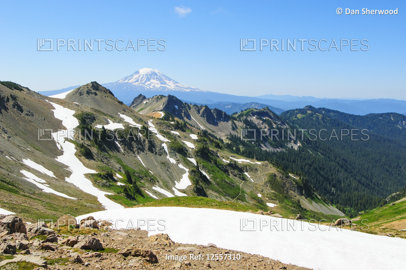 Mt. Adams and Cispus Basin in the Goat Rocks Wilderness Area - Washington