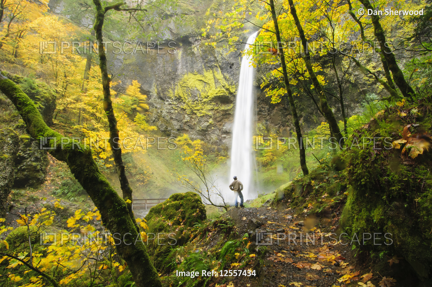Hiker and Elowah Falls in Autumn in the Columbia River Gorge, Oregon